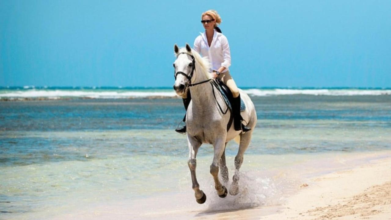 Residencial Mananero II Lejlighed Cabarete Eksteriør billede